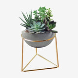 White Ceramic Plant Flower