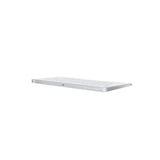 Apple MB110LL/B Standardtastatur Silber 